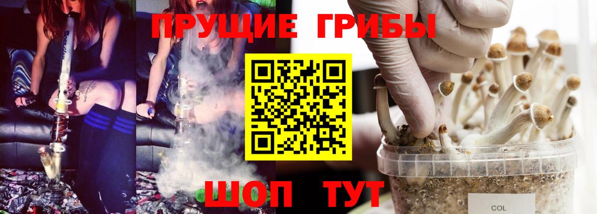 Псилоцибиновые грибы Cubensis  Вход с VPN  Десногорск 